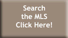 Palm Springs MLS Search Button